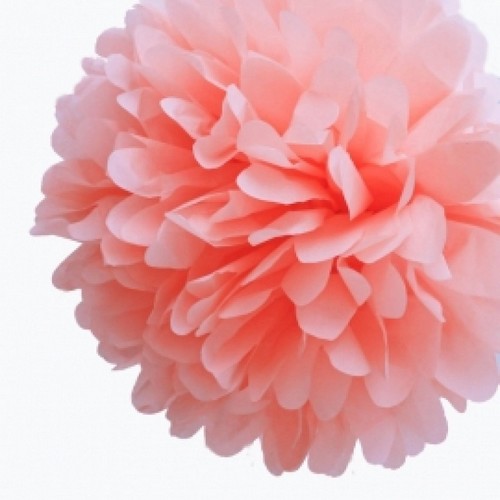 Pompon en Papier de Soie Peche 35 cm Déco Salle Mariage