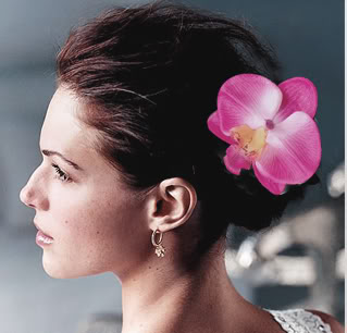 Pince Pic-chignon Epingle Cheveux Mariage Fleurs Orchidée