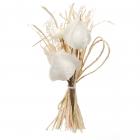 12 bouquets nature physalis blanche H 11 cm 