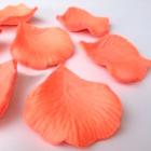 Pétales de Rose  Orange Mariage  (Lot de environ 200 )