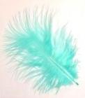 Plumes de décoration Vert Menthe 