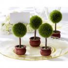 Marque place mariage mini arbre  (lot de 5)