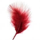 Plumes Décoration Plume Mariage (Bordeaux)