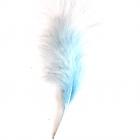 Plumes Décoration Plume Mariage  (Bleu Baby) x 200 pièces