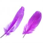 12 Plumes Violettes 10 à 14 cm Décoration Mariage