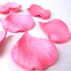 Pétales de Rose Mariage Couleur Rose Tendre ( Lot de environ 200 )