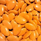 Dragées guimauve orange enrobé de chocolat noir 250 gr