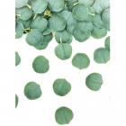 50 confettis de table feuilles d'eucalyptus vert