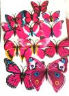 Papillons Magnet Multicolore 3D Rose Fushia x 12
