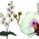 Orchidée mariage - Decoration de mariage theme orchidée