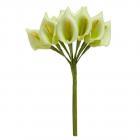 Fleur Mariage - 12 petites Arum sur tige - vert anis
