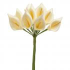 Fleur Mariage - 12 petites Arum sur tige - ivoire