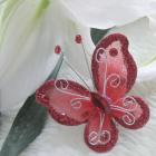papillon bordeaux décoration mariage (lot de 10)