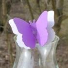 Marque place papillon double pourpre ( par 10)