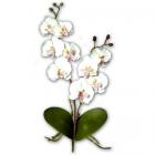 Decoration de mariage orchidée artificielles haut de gamme 