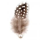 Plumes avec Perle - Noire Leopard - Décoration Mariage