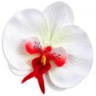 Tête de fleur d'orchidée artificielle rouge et blanc 