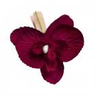 8 orchidées Bordeaux sur clip naturel Déco de table