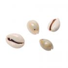 Petits coquillages, décoration de table thème mer