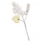 6 grappes de raisin blanc / transparent sur tige 