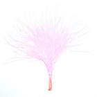 Sachet de 20 Plumes Rose 