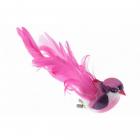 Lot de 2 grands oiseaux fushia sur pince 