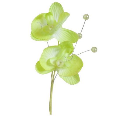 Décoration de Table Mariage  - 3 Doubles Fleurs Orchidées Royales Vert Anis  : illustration