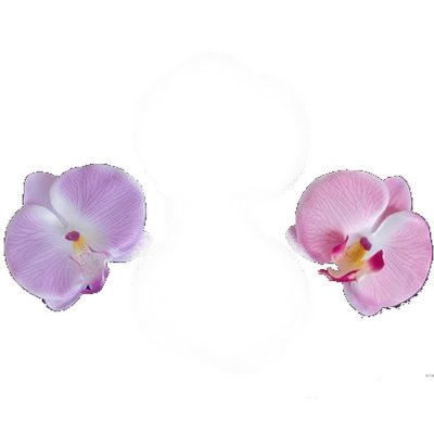 Pince Pic-chignon Epingle Cheveux Mariage Fleurs Orchidée