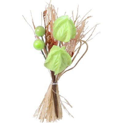 ARCHIVES  -  12 bouquets nature physalis vert anis H 11 cm  : illustration