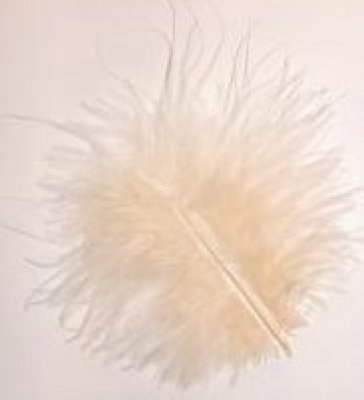 Dcoration de Table Mariage  - Plumes (Ivoire) Dcoration Mariage  : illustration