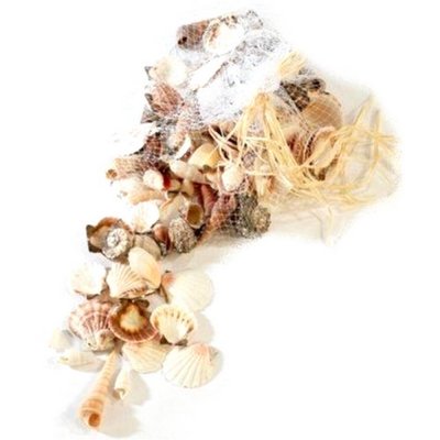 Mariage thme mer  - Coquillages dcoratifs naturels - 300 g : illustration