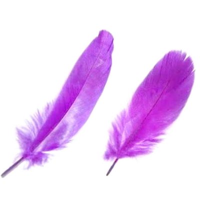 Dcoration de Communion  - 12 Plumes Violettes 10  14 cm Dcoration Mariage : illustration