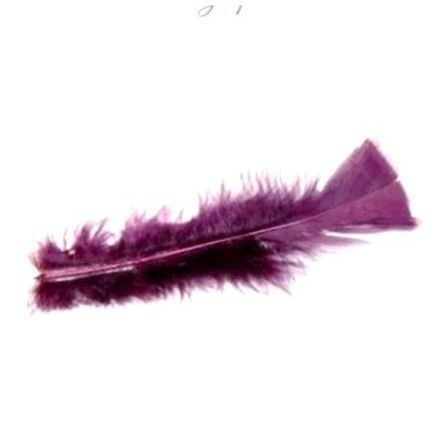 Dcoration de Table Mariage  - Plume De Dcoration violine 10  15 cm environ (lot ... : illustration