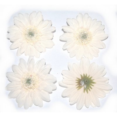 Décoration de Table Mariage  - 4 marguerites ivoire artificielles en tissu - fleurs ... : illustration