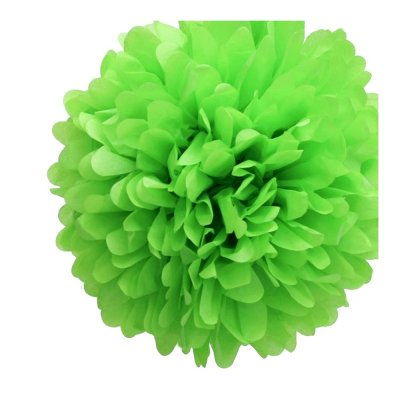 Dcoration Voiture Mariage  - Pompon en papier vert anis 15 cm  : illustration