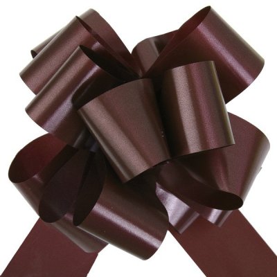Noeuds, rubans Mariage  - Noeud Automatique Chocolat (Lot de 10) : illustration