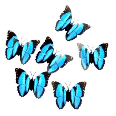Mariage thme papillons  - Papillon 3D Bleu Aimant Magnet Frigo Stickers Muraux ... : illustration