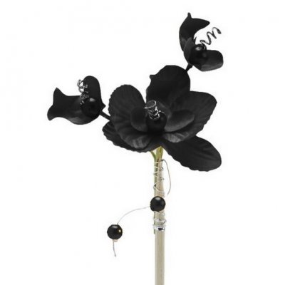 Dcoration de Fte, Anniversaire, Mariage, Baptme  - 4 Orchides et perles noires sur pique 25 cm : illustration
