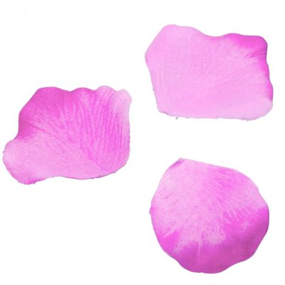 Dcoration de Salle  - Paquet de 100 ptales de rose Eco fuchsia dcoration ... : illustration