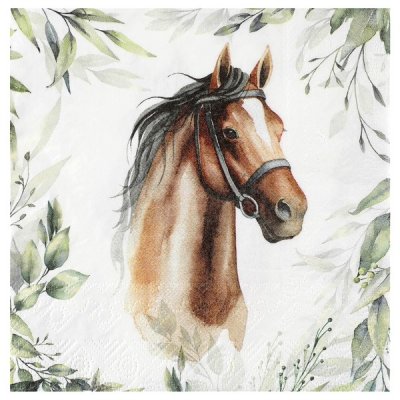 Dcoration de Table  - 20 Serviettes papier cheval quitation  : illustration