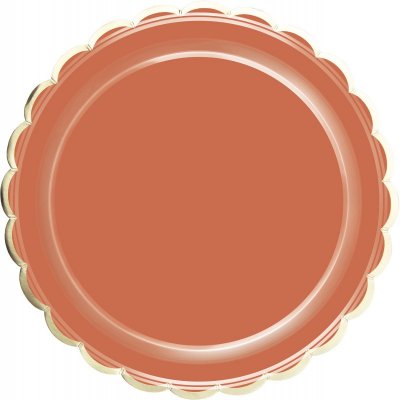Assiettes jetables  - 8 Assiettes en carton Terracotta festonns  : illustration