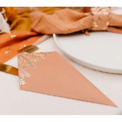 Decoration Mariage  - 10 Cornets Terracotta Jolis Brins Or : illustration