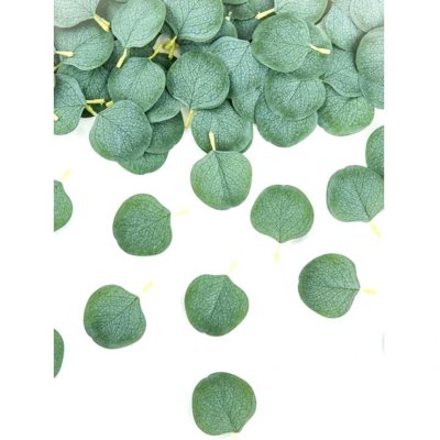 Dco de table Communion  - 50 confettis de table feuilles d'eucalyptus vert : illustration