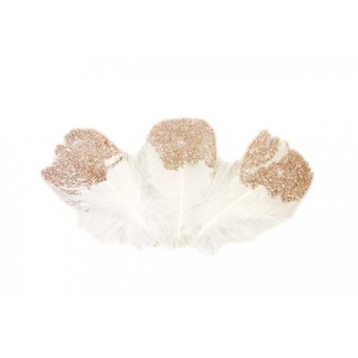 Dcoration de Baptme  - 25 Plumes pailletes blanches et rose gold : illustration