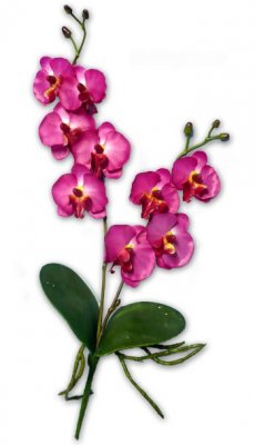 Décoration de Table Mariage  - Orchidée fleur deco pour table de mariage. : illustration