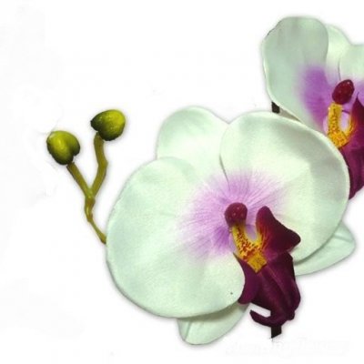 Décoration de Table Mariage  - Orchidées Sur Tige Décoration de Mariage : illustration