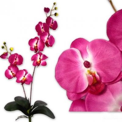 Décoration de Table Mariage  - Orchidées rose fushia  Decoration de mariage : illustration