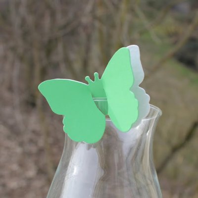 Mariage thme papillons  - Marque Place Papillon Double Vert Anis et Blanc ( ... : illustration