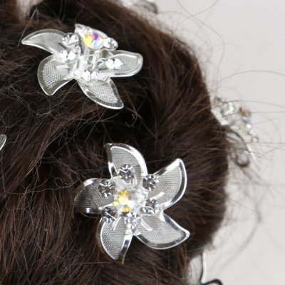 Bijoux de Mariage  - Pics Epingles  Cheveux de mariage Argent 