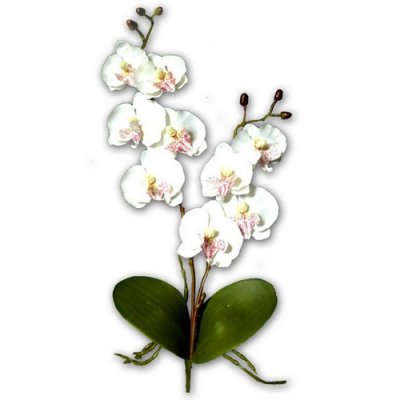 Decoration Mariage  - Decoration de mariage orchidée artificielles haut ... : illustration